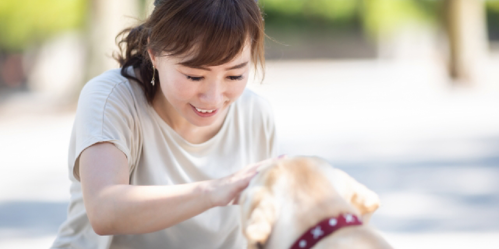 犬の飼育としつけの大切さ